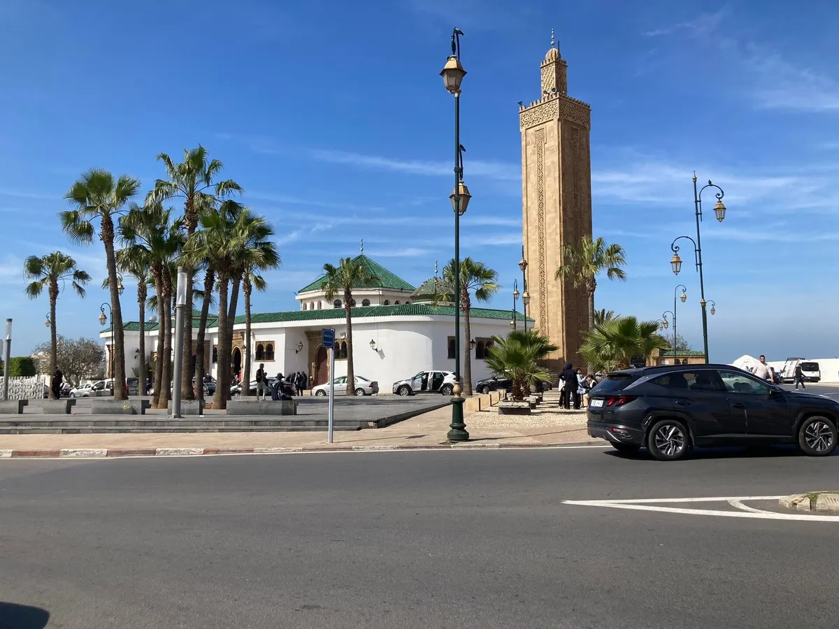 The Chouhada mosque minaret and its palm-lined avenue